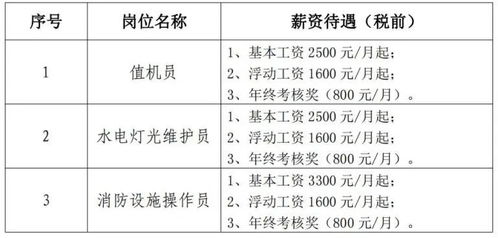 2024年临沧市沧源佤山机场招聘劳务派遣人员公告