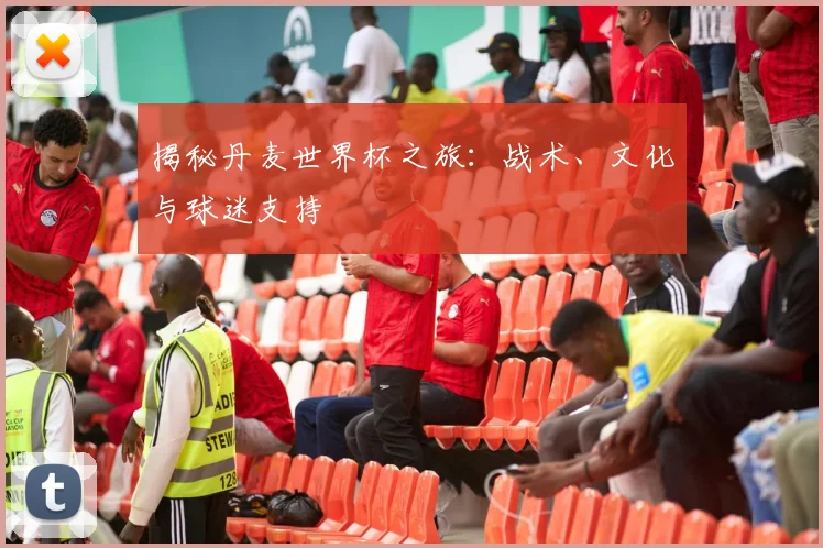 揭秘丹麦世界杯之旅:战术、文化与球迷支持